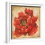 Red Peony on Gold-Patricia Pinto-Framed Art Print