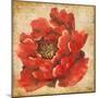 Red Peony on Gold-Patricia Pinto-Mounted Art Print