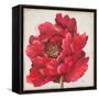 Red Peony-Patricia Pinto-Framed Stretched Canvas