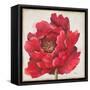 Red Peony-Patricia Pinto-Framed Stretched Canvas