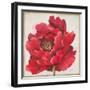 Red Peony-Patricia Pinto-Framed Art Print