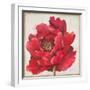 Red Peony-Patricia Pinto-Framed Art Print