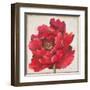 Red Peony-Patricia Pinto-Framed Art Print