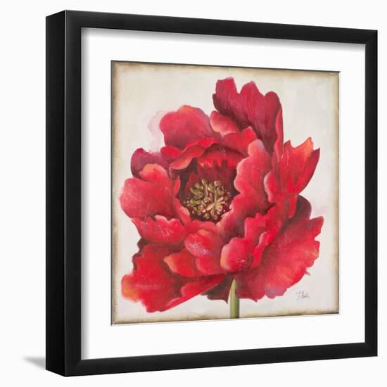 Red Peony-Patricia Pinto-Framed Art Print