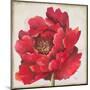 Red Peony-Patricia Pinto-Mounted Art Print