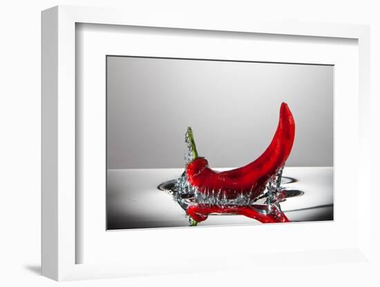 Red Pepper FreshSplash-Steve Gadomski-Framed Photographic Print