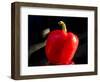 Red pepper is illuminated by warm sunlight-Charles Bowman-Framed Photographic Print