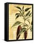 Red Pepper-Walter H. Fitch-Framed Stretched Canvas