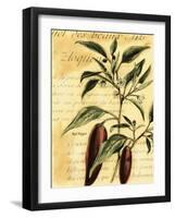 Red Pepper-Walter H. Fitch-Framed Art Print