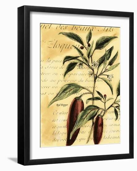 Red Pepper-Walter H. Fitch-Framed Art Print