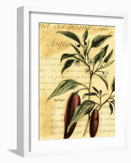 Red Pepper-Walter H. Fitch-Framed Art Print