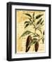 Red Pepper-Walter H. Fitch-Framed Art Print