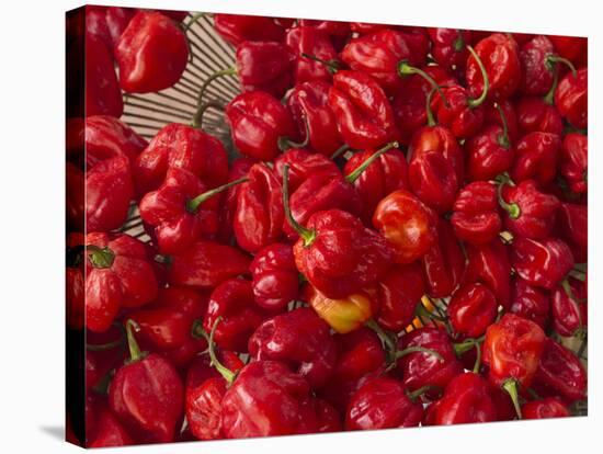 Red Peppers at the Saturday Market, San Ignacio, Belize-William Sutton-Stretched Canvas