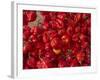 Red Peppers at the Saturday Market, San Ignacio, Belize-William Sutton-Framed Photographic Print