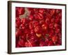 Red Peppers at the Saturday Market, San Ignacio, Belize-William Sutton-Framed Photographic Print