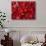 Red Peppers at the Saturday Market, San Ignacio, Belize-William Sutton-Photographic Print displayed on a wall