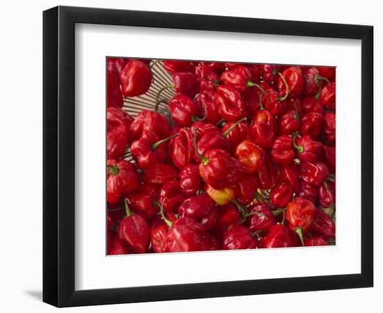 Red Peppers at the Saturday Market, San Ignacio, Belize-William Sutton-Framed Photographic Print