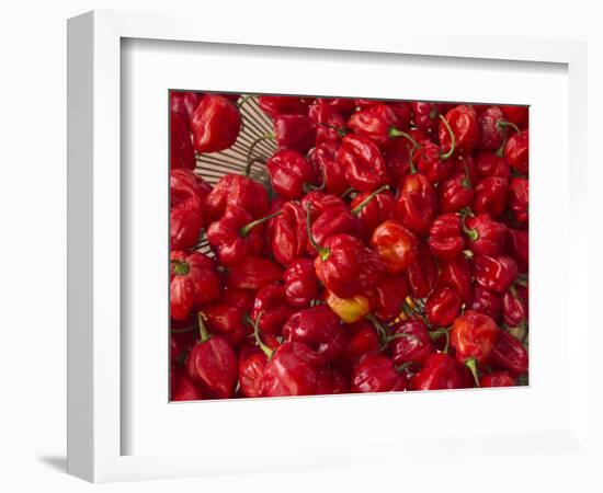 Red Peppers at the Saturday Market, San Ignacio, Belize-William Sutton-Framed Photographic Print