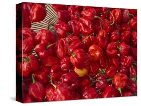 Red Peppers at the Saturday Market, San Ignacio, Belize-William Sutton-Stretched Canvas