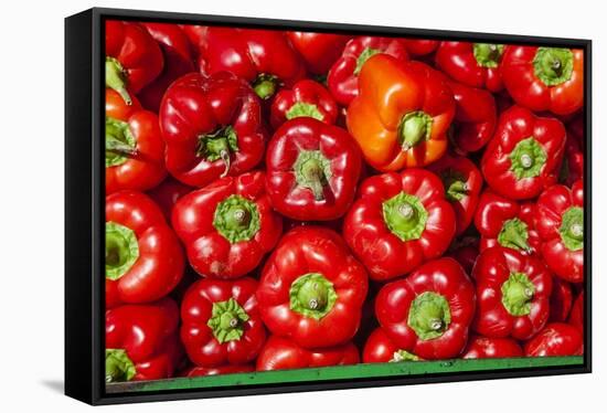 Red Peppers Carmel Market-Richard T. Nowitz-Framed Stretched Canvas