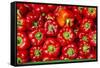 Red Peppers Carmel Market-Richard T. Nowitz-Framed Stretched Canvas
