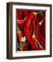 Red Peppers-Michael Rosenfeld-Framed Art Print