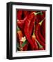 Red Peppers-Michael Rosenfeld-Framed Art Print