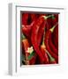 Red Peppers-Michael Rosenfeld-Framed Art Print
