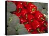 Red Peppers-Ken Hammond-Stretched Canvas