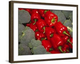 Red Peppers-Ken Hammond-Framed Photo