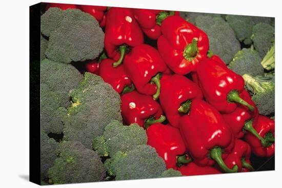 Red Peppers-Ken Hammond-Stretched Canvas