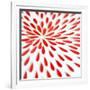 Red Petals 02-Tom Quartermaine-Framed Giclee Print