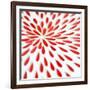 Red Petals 02-Tom Quartermaine-Framed Giclee Print