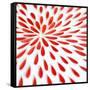 Red Petals 02-Tom Quartermaine-Framed Stretched Canvas