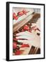 Red Petals on a Piano-Steve Allsopp-Framed Photographic Print