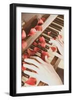 Red Petals on a Piano-Steve Allsopp-Framed Photographic Print