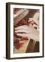 Red Petals on a Piano-Steve Allsopp-Framed Photographic Print