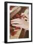 Red Petals on a Piano-Steve Allsopp-Framed Photographic Print