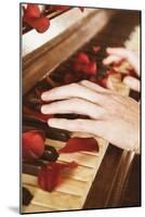 Red Petals on a Piano-Steve Allsopp-Mounted Photographic Print