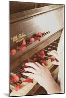 Red Petals on a Piano-Steve Allsopp-Mounted Photographic Print