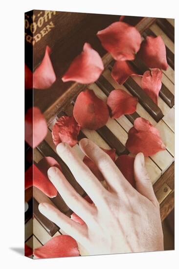 Red Petals on a Piano-Steve Allsopp-Stretched Canvas