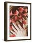 Red Petals on a Piano-Steve Allsopp-Framed Photographic Print