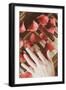 Red Petals on a Piano-Steve Allsopp-Framed Photographic Print