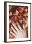 Red Petals on a Piano-Steve Allsopp-Framed Photographic Print