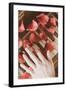 Red Petals on a Piano-Steve Allsopp-Framed Photographic Print