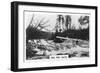 Red Pine Chute, Canada, C1920s-null-Framed Giclee Print