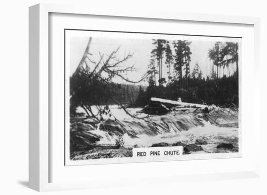 Red Pine Chute, Canada, C1920s-null-Framed Giclee Print