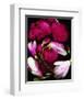 Red pink Magnolia Heart Spring-null-Framed Art Print