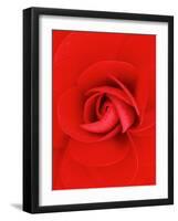 Red Pinwheel Begonia Flower-John McAnulty-Framed Photographic Print