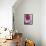 Red Pitahaya-Nicolas Leser-Framed Stretched Canvas displayed on a wall